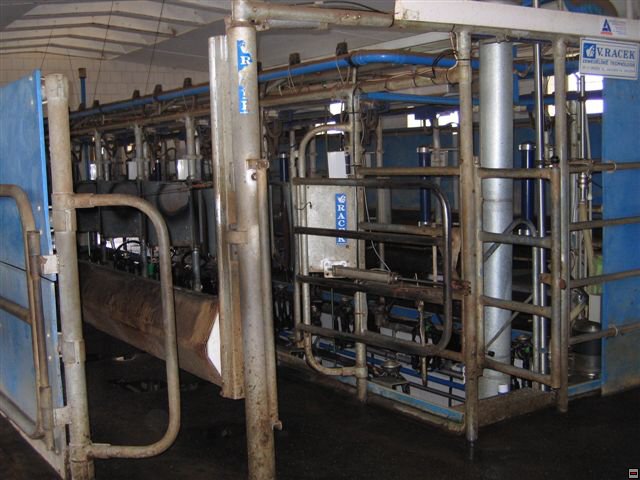 Troubelice 2006 013.jpg